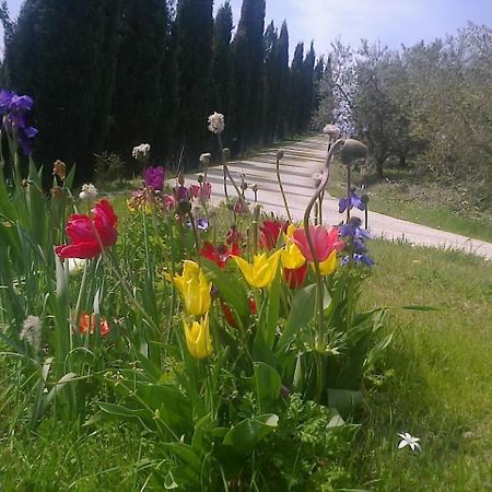 Residence Ai Campi Da Golf Saturnia Eksteriør billede