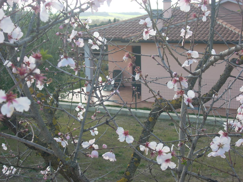 Residence Ai Campi Da Golf Saturnia Eksteriør billede