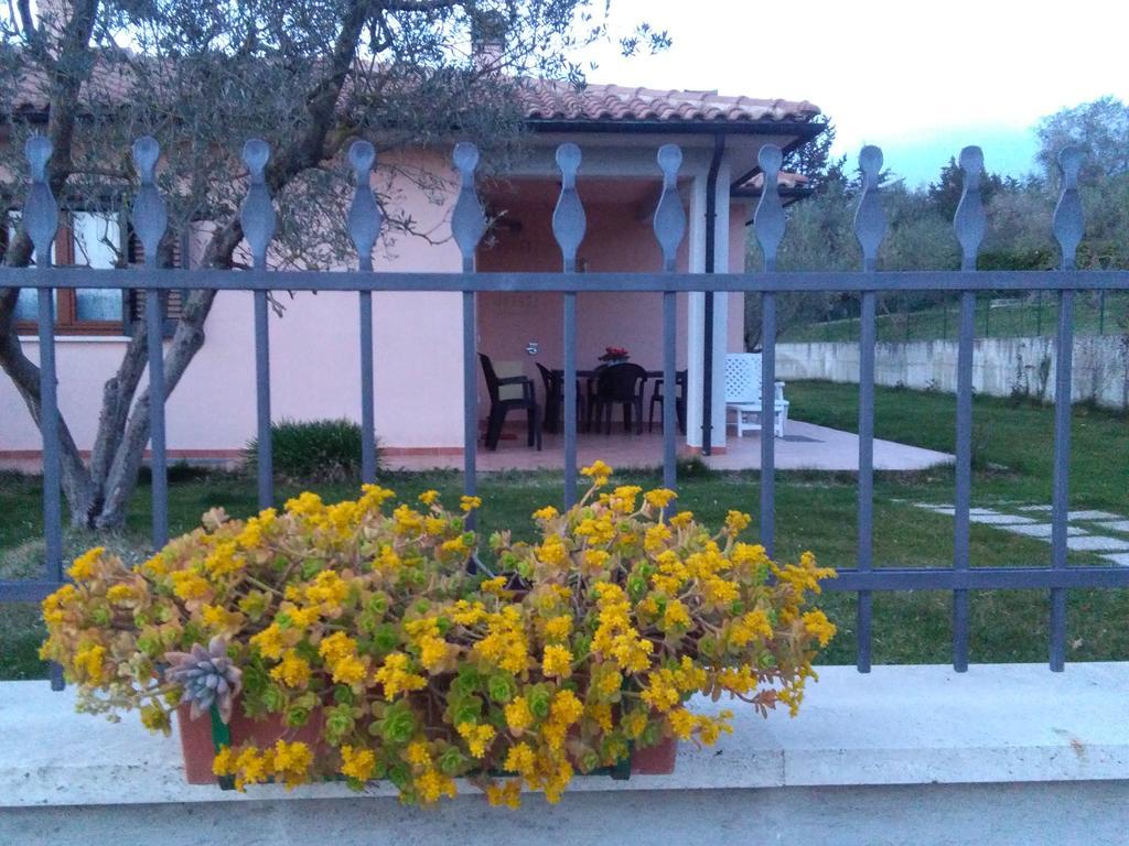 Residence Ai Campi Da Golf Saturnia Eksteriør billede